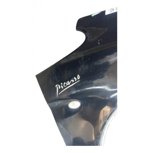 Paralama Direito Xsara Picasso